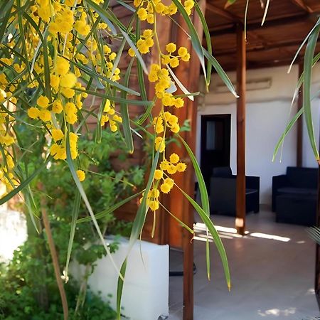 Sea Breeze Villa - Sole Apartment Bari Exterior foto